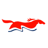 American Farriers Supply - AFS