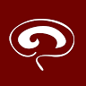 American Headache Society