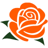 Amor Puro Flower Shop