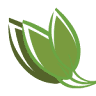 AmPurity Wellness