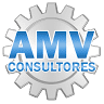 AMV CONSULTORES SAC