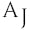 Amy Jean Brow Agency Brisbane
