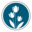 Anacortes Physical Therapy