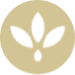 Ananda Food