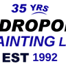 Andropolis Painting LLC