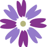 AngleZ Behavioral Health