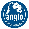 Colégio Anglo Artur Nogueira