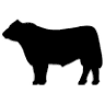 Angus Australia