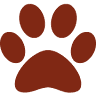Animal Clinic & Hospital: Leonard Nicki DVM