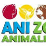 Anizoo