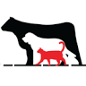 Animal Health Center of Centerville