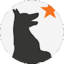 Animal Stars Dog Training