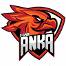 ANKA GAME CENTER & INTERNET CAFE