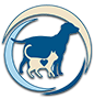 Akhisar Anka Veteriner Kliniği - Aşı-Kısırlaştırma- Pet Kuaför - Cerrahi Operasyon - Sezaryen