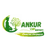 Ankur Trysem Nursery & Garden