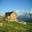 ANM'S FARM, LLC
