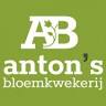 Anton's bloemenkwekerij