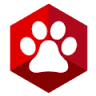 Apollo Veterinary Medical Hospitals