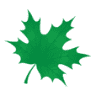 Ahorn Apotheke