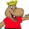 Don Burgão