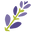 Appalachian Botanical Co.