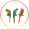Taqueria Los Pericos