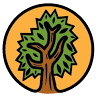 Apunga Native Nursery