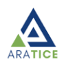 Société Aratice