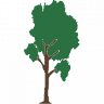 Arborline