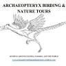 Archaeopteryx Birding and Nature Tours