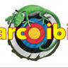 Club de Tir Amb Arc Es Cubells
