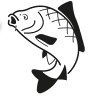 Arek Carpfishing Store