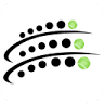 Arena Padel