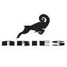 Aries Shirts
