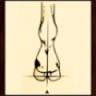 Arkansas Horseshoeing School