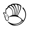 Armadillo La Salle