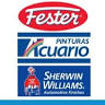 FESTER SANTA LETICIA