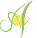 Aromatica