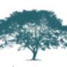 Robertson Insurance Group
