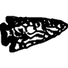 Arrowhead Wood Products