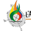 THE ART OF FIRE