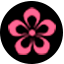 Arte Floral
