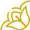 Fleur de Lys - Artisan-Fleuriste.fr