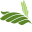 Association for Community Awareness (ASCOA)