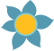 A Sea of Bloom