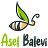 Asel Bal Evi