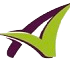 Asesoria Gex