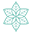 Ashley Orthodontics