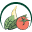A Spice Above