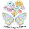 Assateague Farm